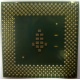 Процессор Intel Celeron 1000A SL5ZF (1000MHz /256kb /100MHz /1.475 V) s370 (Севастополь)