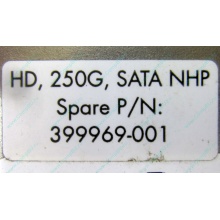 HP 250G 7.2k 432337-001/ 399699-001 / 397377-004 SATA HDD (Севастополь)