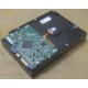 Жесткий диск HP 250Gb 7200 rpm 432337-001/ 399699-001 / 397377-004 (Севастополь)