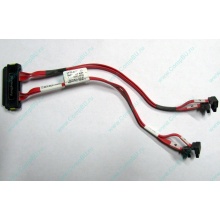 SATA-кабель для корзины HDD HP 451782-001 459190-001 для HP ML310 G5 (Севастополь)