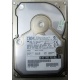 Жесткий диск 18.2Gb IBM Ultrastar DDYS-T18350 Ultra3 SCSI (Севастополь)