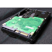 Жесткий диск 600Gb 15k Dell 9FN066-008 6G SAS ( Seagate Cheetach ST3600057SS 15K.7) - Севастополь