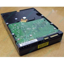 Б/У жёсткий диск 400Gb WD WD4000YR Caviar RE2 7200 rpm SATA  (Севастополь)