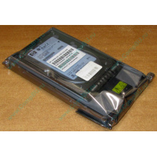 Жёсткий диск 146.8Gb HP 365695-008 404708-001 BD14689BB9 256716-B22 MAW3147NC 10000 rpm Ultra320 Wide SCSI купить в Севастополе, цена (Севастополь).