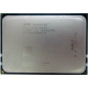 AMD Opteron 6128 OS6128WKT8EGO (Севастополь)