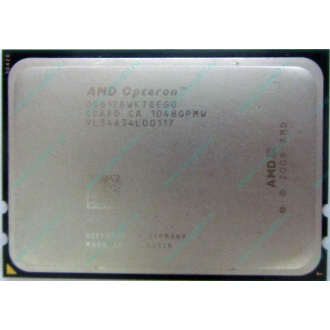 AMD Opteron 6128 OS6128WKT8EGO (Севастополь)